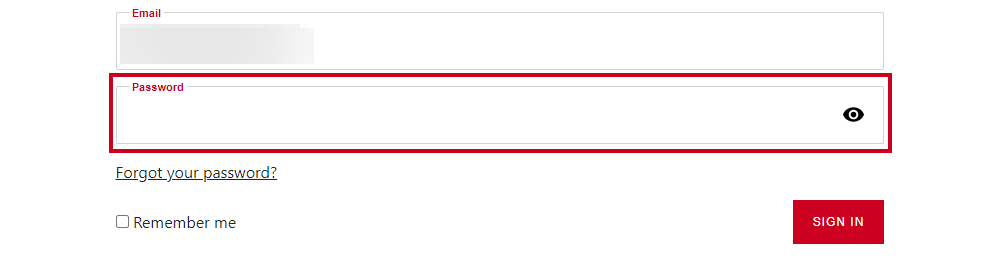 Sign-in page password field.