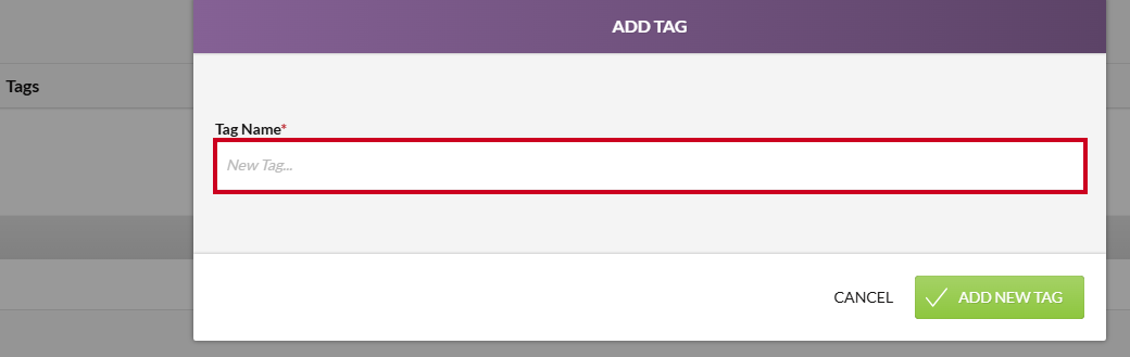 The New Tag text field on the Add Tag modal.
