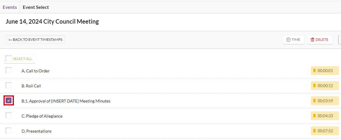 An example timestamp checkbox that has been checked.