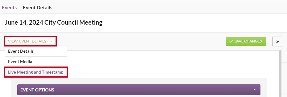 The View menu with the Live Meeting and Timestamp option highlighted.