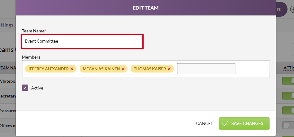 The Team Name field.