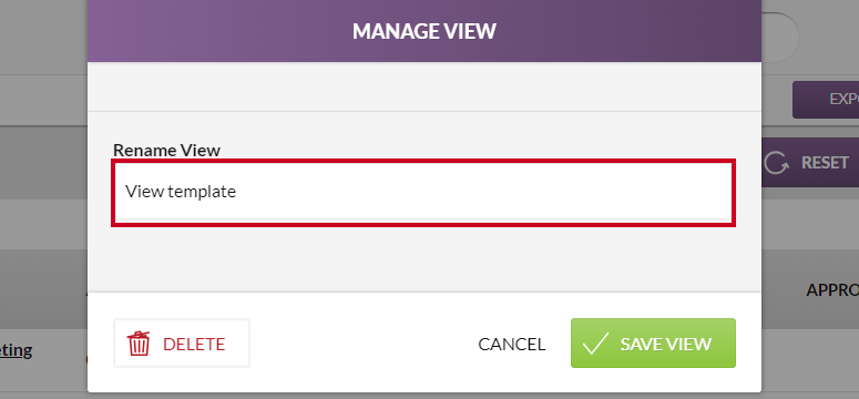 The Manage View modal Rename View field.