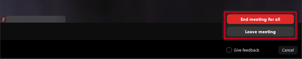 The two Zoom End options.