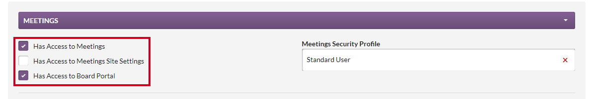 The Has Access to Meetings, Has Access to Meetings Site Settings, and Has Access to Board Portal checkboxes displayed in the Meetings section.