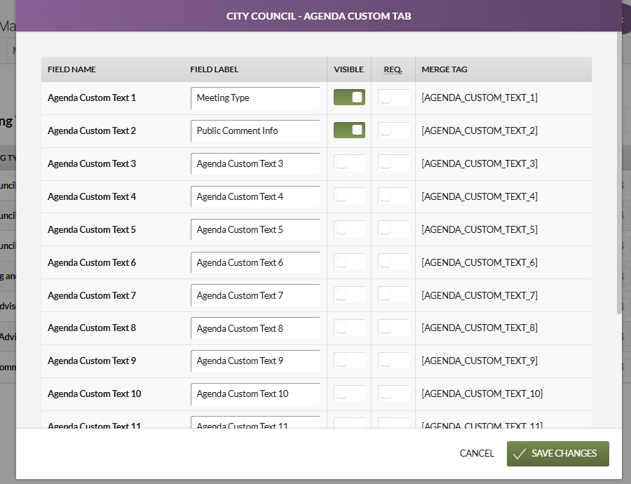 The custom fields within the Agenda Custom Tab modal.