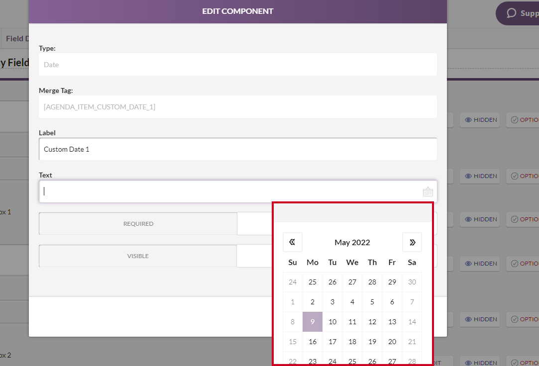 An example date field.