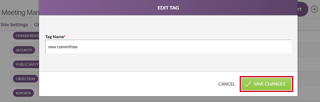 The green, rectangular Save Changes button in the lower-right corner of the Edit Tag modal.