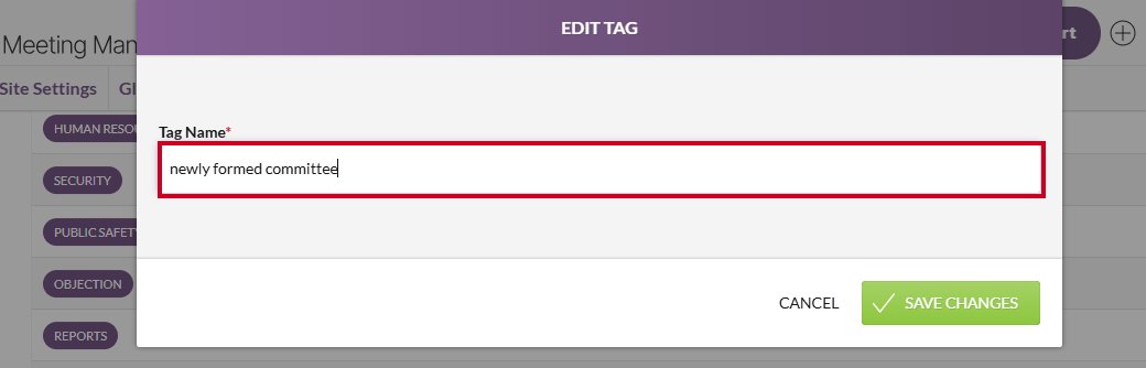 The Tag Name field on the Edit Tag modal.