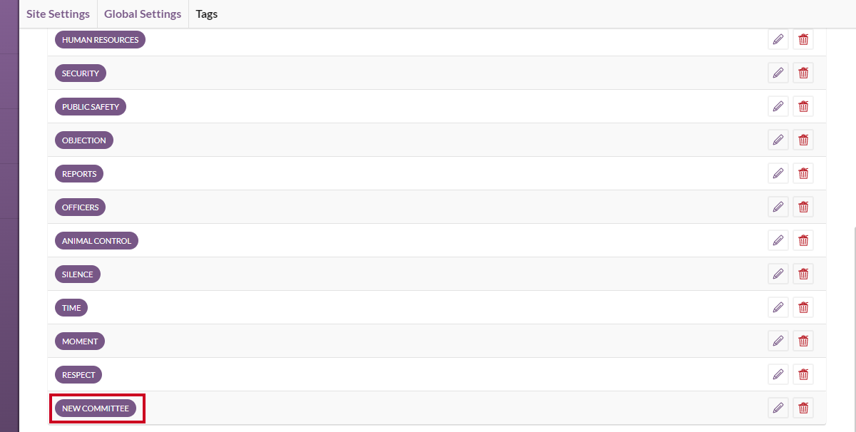 A example edited tag within the Tags list.